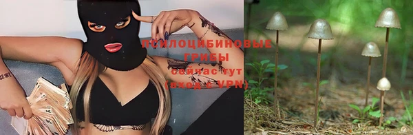 ПСИЛОЦИБИНОВЫЕ ГРИБЫ Новочеркасск