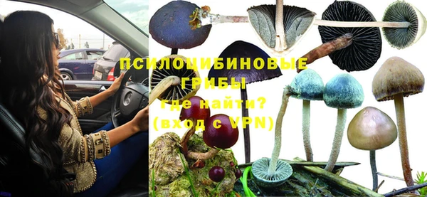apvp Сафоново