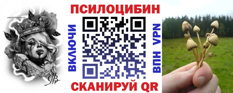 Псилоцибиновые грибы мицелий Коркино