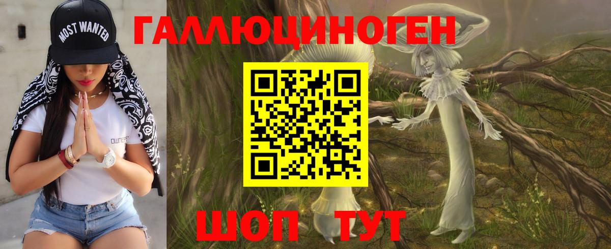 Галлюциногенные грибы Psilocybine cubensis  Вход с VPN  Коркино 