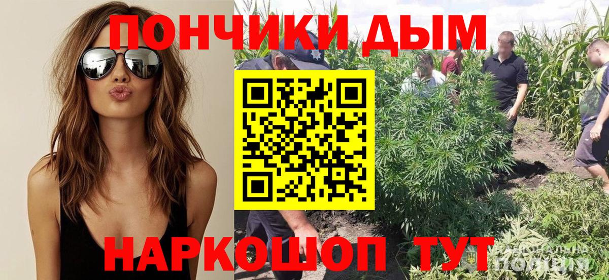 Коркино  МАРИХУАНА MAZAR  Бошки Шишки Amnesia  Вход с VPN 